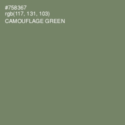 #758367 - Camouflage Green Color Image